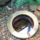 후곡약수터 이미지