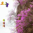 (주)재훈 Daum카페