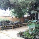 솔잎가든 이미지