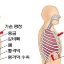 피지오스