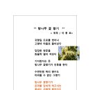 밤나무향기