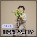 수원 용인 셀프사진관 마음껏 스튜디오 네돌 촬영 내돈내산 후기