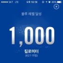 전신운동스트레칭 이미지
