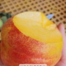 오봉농원 이미지