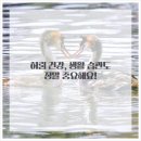 테마한의원 이미지