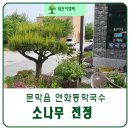 연화동막국수 네이버블로그