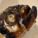 청기와약국 | 2달전의 기록