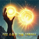 소중한선택 이미지