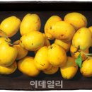 오일갤러리 이미지