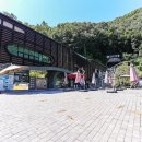 경남식당 | 단양 고수동굴 경남식당 마늘떡갈비 한정식 후기