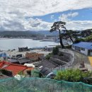 고성사랑부동산 공인중개사사무소 | [바닷가 주택 시리즈 _1] 고성 거진항 파노라마, 바다뷰 독점하는 언덕 위 구옥