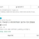 국보떡볶이 이미지