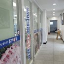 위스키 리듬오브타이완 자연산 막회와 완벽했던 바다보며 페어링 후기(대만여행 기념품 추천 시음후기)