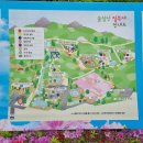 푸드정원 | 동산 가는법 실시간 개화 현황부터 주차장 나비정원 카페 프로그램 공연 푸드트럭 직접 돌아본 실시간 후기