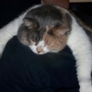 수원삼성한의원 이미지