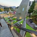 미앤마이독스 이미지