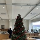 오디하우스 | 김포 근교 분위기좋은 카페 오디와이 내돈내산 후기