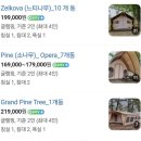 숲들내캠핑장 | 천안 폐교 숲들내 글램핑장 이용후기