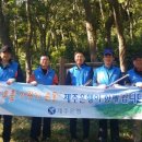 동광리-19 이미지