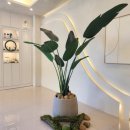 사임당로공원 이미지