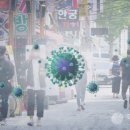 대전 5566 대전일보