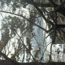 갑자약국 이미지