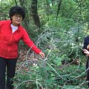 오동근린공원 이미지