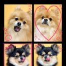 하루에 멍 이미지