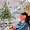 연남동 트리 예쁜카페 로프스페이스 다녀온 후기