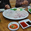 일출회물회 이미지