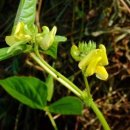 녹두로R 이미지