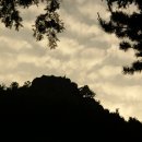 부산진시장 이미지