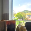 달이담