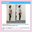 포시즌필라테스 이미지