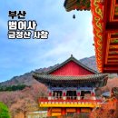 도시철도 남산정역 2번 출구 | 금정산 범어사 홍매화가 피어나는 부산 사찰 방문 후기