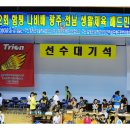 함평나비(광주) 이미지