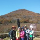 꽃별하얀 이미지