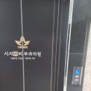 시지미피부과의원
