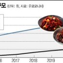 닭의변신 이미지