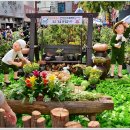 대구 약령시장 이미지