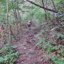 1231 | 오지산행후기(1231차) 영월 미자 나들이 2024.09.01(일)