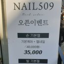네일509 이미지
