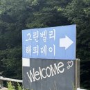 솔밭개울 | 경주 해피데이펜션 ㅡ물소리와 새소리, 그리고 한적한 산자락이 어우러지는 조용한 쉼터,경주숙소 경주...