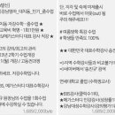 줌광고기획 이미지