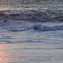 정읍도정공장 이미지