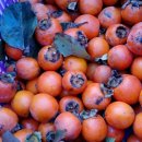 산이네농장 이미지