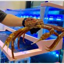 어서오시게 부천옥길점 이미지