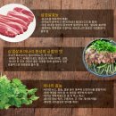 못된쭈꾸미 이미지