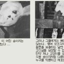 연민축산