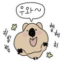 비뮤직타운 이미지
